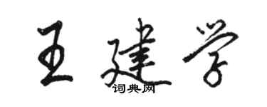 駱恆光王建學行書個性簽名怎么寫