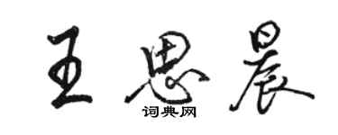 駱恆光王思晨行書個性簽名怎么寫