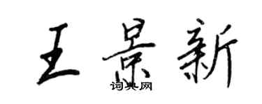 王正良王景新行書個性簽名怎么寫