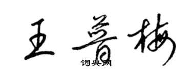 梁錦英王普梅草書個性簽名怎么寫