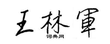 王正良王林軍行書個性簽名怎么寫