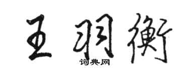 駱恆光王羽衡行書個性簽名怎么寫