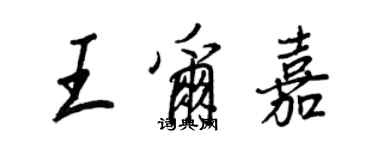 王正良王爾嘉行書個性簽名怎么寫