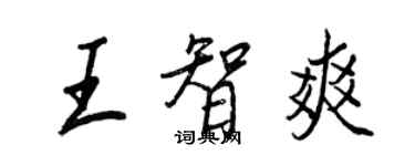 王正良王智爽行書個性簽名怎么寫