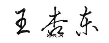 駱恆光王杏東行書個性簽名怎么寫