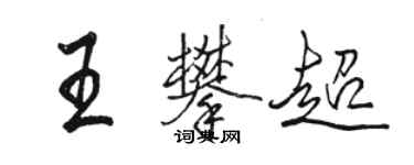 駱恆光王攀超行書個性簽名怎么寫