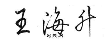 駱恆光王海升行書個性簽名怎么寫