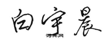 駱恆光白宇晨行書個性簽名怎么寫