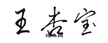 駱恆光王杏寶行書個性簽名怎么寫