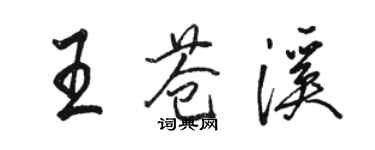 駱恆光王蒼溪行書個性簽名怎么寫