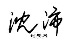 朱錫榮沈沛草書個性簽名怎么寫