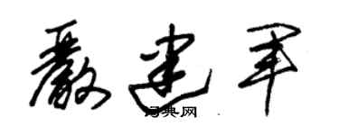 朱錫榮嚴建軍草書個性簽名怎么寫