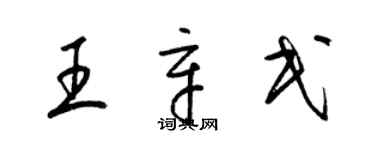 梁錦英王辛民草書個性簽名怎么寫