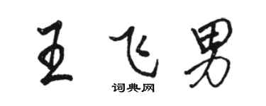 駱恆光王飛男行書個性簽名怎么寫