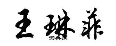 胡問遂王琳菲行書個性簽名怎么寫