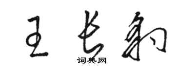 駱恆光王長豹草書個性簽名怎么寫