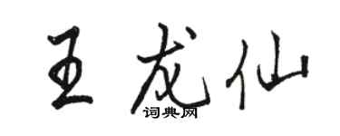 駱恆光王龍仙行書個性簽名怎么寫
