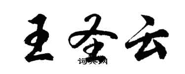 胡問遂王聖雲行書個性簽名怎么寫