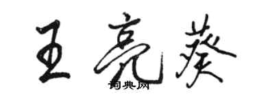 駱恆光王亮葵行書個性簽名怎么寫