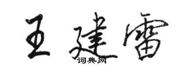 駱恆光王建雷行書個性簽名怎么寫