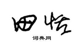 朱錫榮田恬草書個性簽名怎么寫