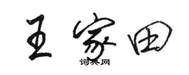 駱恆光王家田行書個性簽名怎么寫