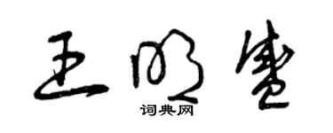 曾慶福王明盛草書個性簽名怎么寫