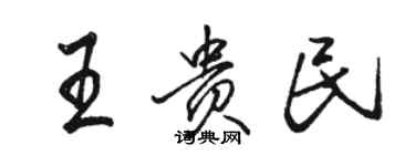駱恆光王貴民行書個性簽名怎么寫