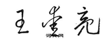 駱恆光王愛亮草書個性簽名怎么寫