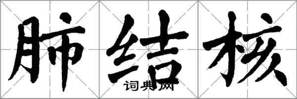 翁闓運肺結核楷書怎么寫