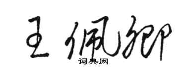 駱恆光王佩卿草書個性簽名怎么寫