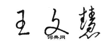 駱恆光王文慧草書個性簽名怎么寫