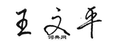 駱恆光王文平行書個性簽名怎么寫