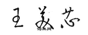 駱恆光王美芯草書個性簽名怎么寫