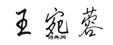 駱恆光王宛蓉行書個性簽名怎么寫