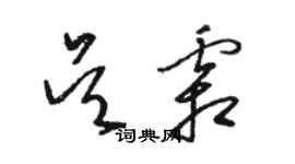 駱恆光吳霜草書個性簽名怎么寫