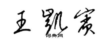 梁錦英王凱賓草書個性簽名怎么寫