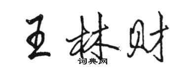 駱恆光王林財行書個性簽名怎么寫