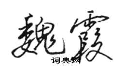 駱恆光魏霞行書個性簽名怎么寫
