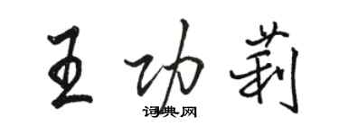 駱恆光王功莉行書個性簽名怎么寫