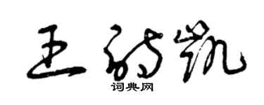 曾慶福王詩凱草書個性簽名怎么寫