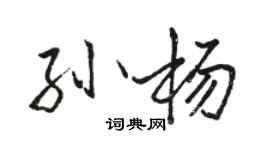 駱恆光孫楊行書個性簽名怎么寫