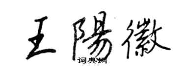 王正良王陽徽行書個性簽名怎么寫