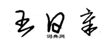 朱錫榮王日章草書個性簽名怎么寫