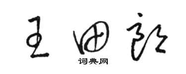 駱恆光王田朗草書個性簽名怎么寫