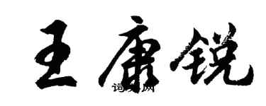 胡問遂王康銳行書個性簽名怎么寫