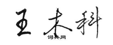 駱恆光王木科行書個性簽名怎么寫