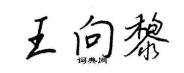 王正良王向黎行書個性簽名怎么寫