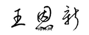 梁錦英王恩新草書個性簽名怎么寫