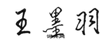 駱恆光王墨羽行書個性簽名怎么寫